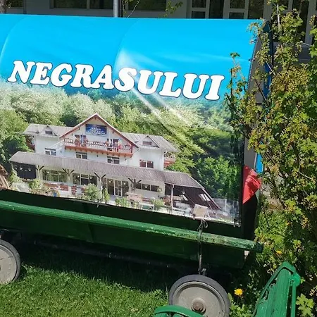 Pensiunea Valea Negrasului 3*