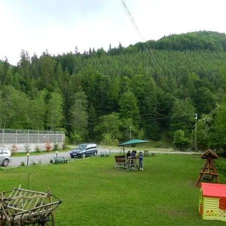 Pensiunea Valea Negrasului 3* Trăisteni
